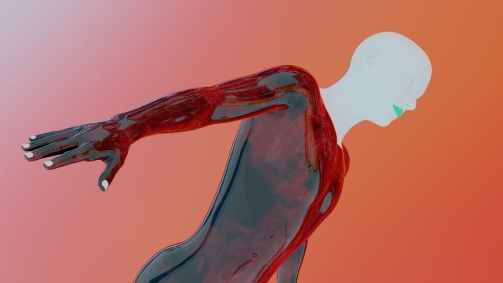 Fascians dolda mekanik: Så fungerar kroppens elastiska stötdämpare och kraftöverförare